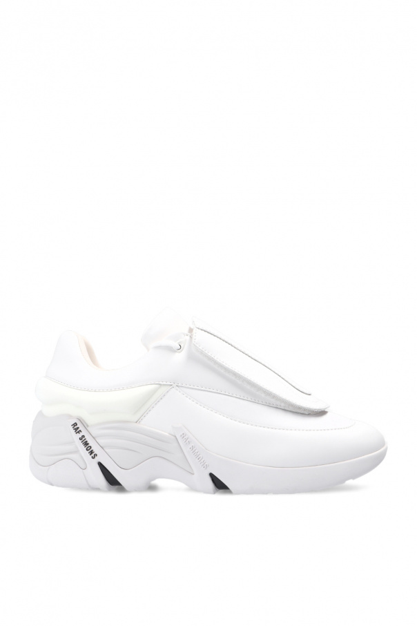 Raf on sale simons superstar